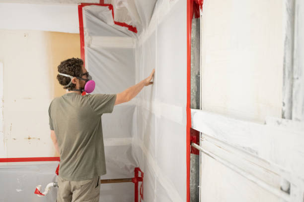Trusted Uhland, TX Mold Removal Experts