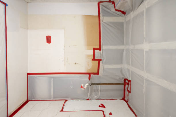 Best Real Estate Mold Inspection  in Uhland, TX